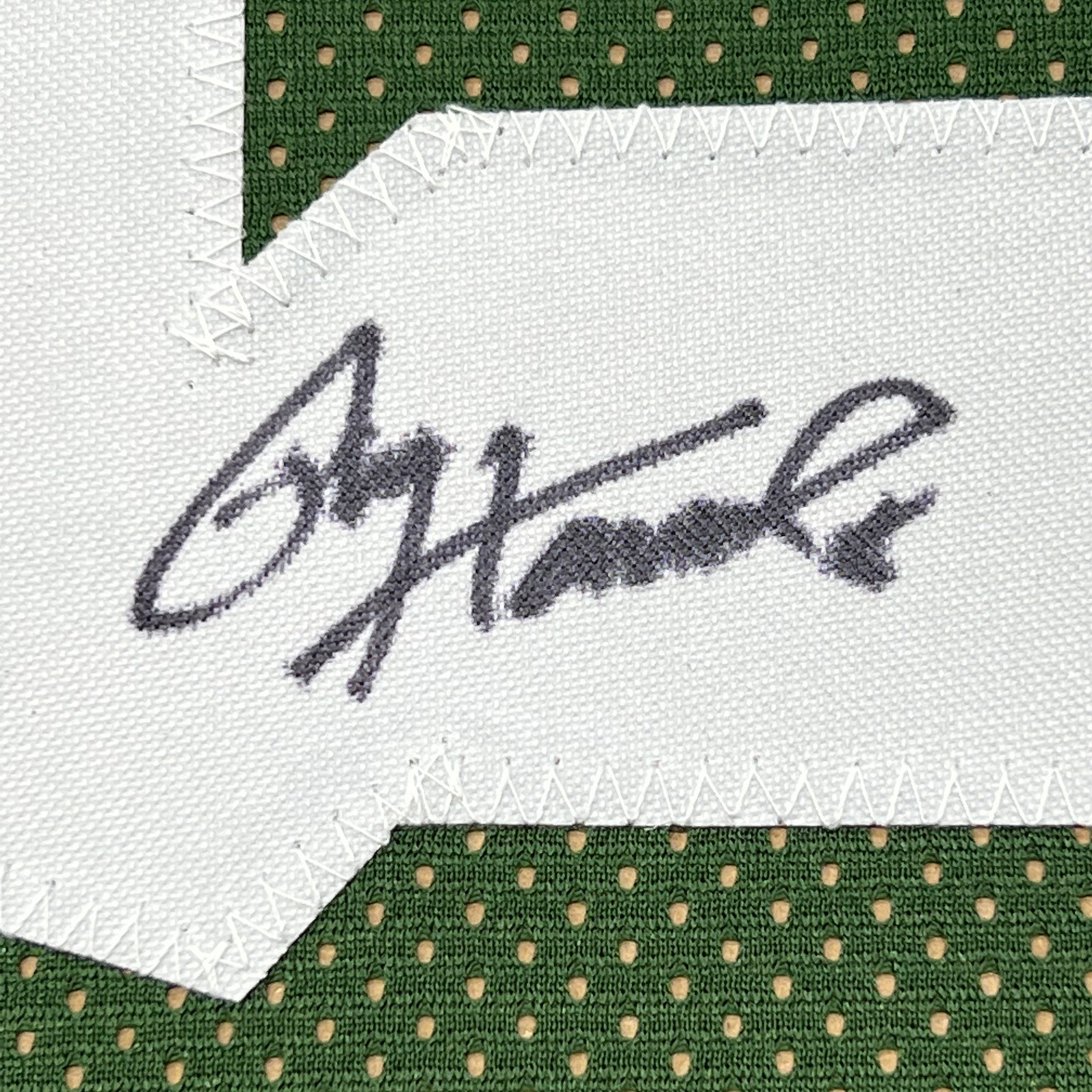 Framed Autographed/Signed Paul Hornung 35x39 Green Bay Green Football Jersey JSA COA