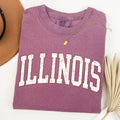 Illinois Football Tailgate Party Big Game State Pride University College Comfort Colors Tee